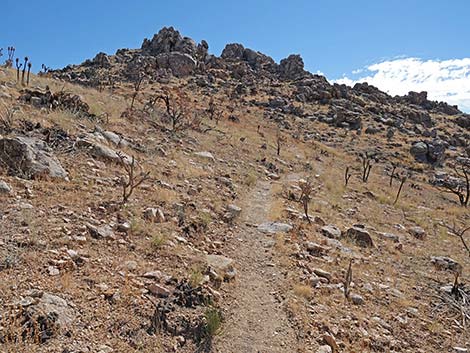 Teutonia Peak Trail