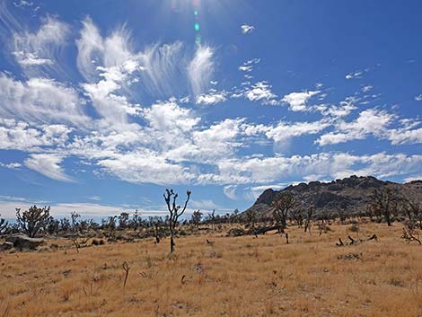 Teutonia Peak