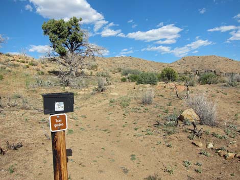 Mid Hills Trailhead