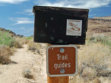 Wild Horse Spur Trail