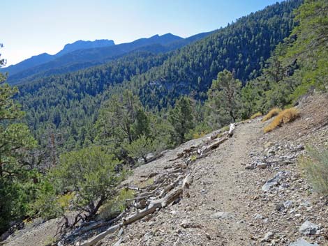 Bonanza Peak Trail