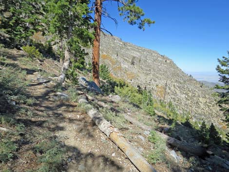 Bonanza Peak Trail