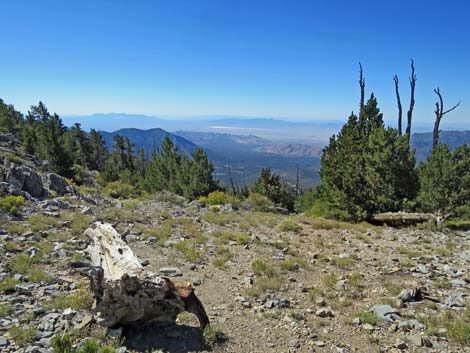 Bonanza Trail