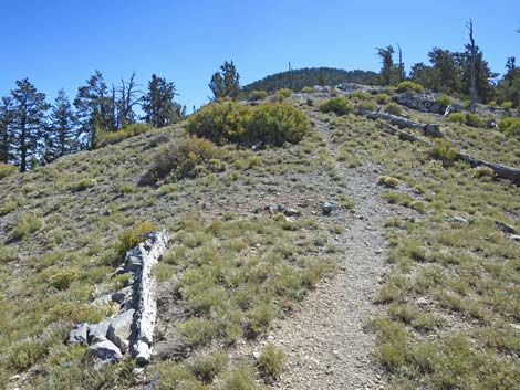 Bonanza Trail