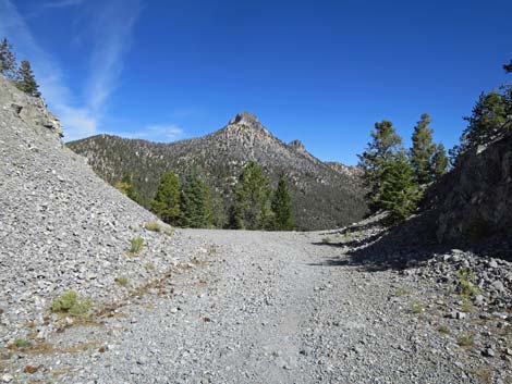 Bonanza Trail