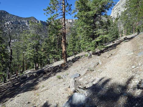 Bonanza Trail