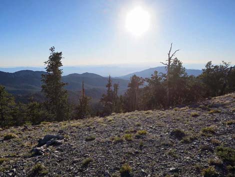 Bonanza Trail