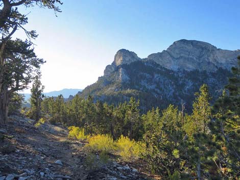 Bonanza Trail