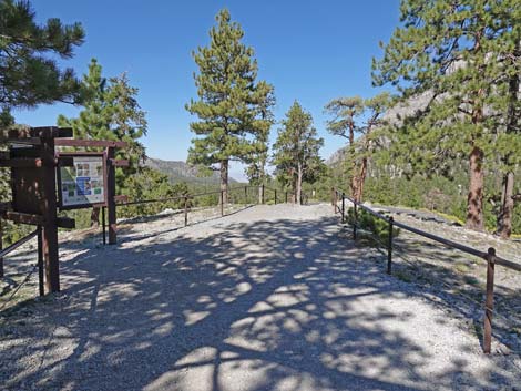 Bristlecone Trail