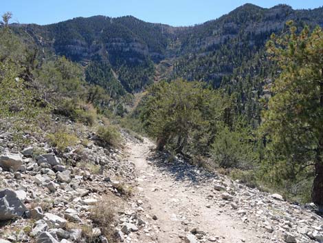 Cathedral Rock Trail