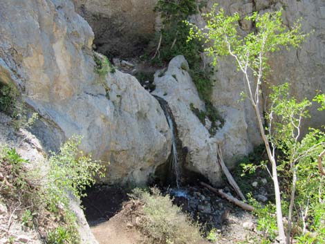 Cathedral Rock Trail