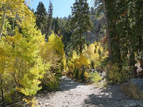 Cathedral Rock Trail