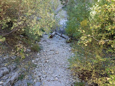 Cathedral Rock Trail