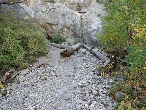 Cathedral Rock Trail