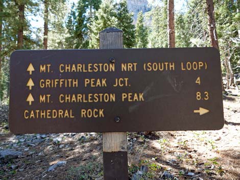 Echo Overlook Trail