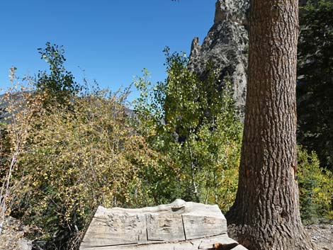 Cathedral Rock Trail