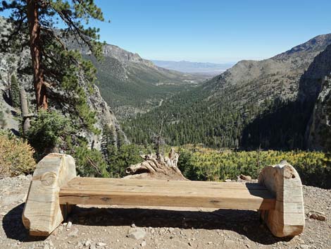 Cathedral Rock Trail