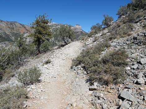 Cathedral Rock Trail