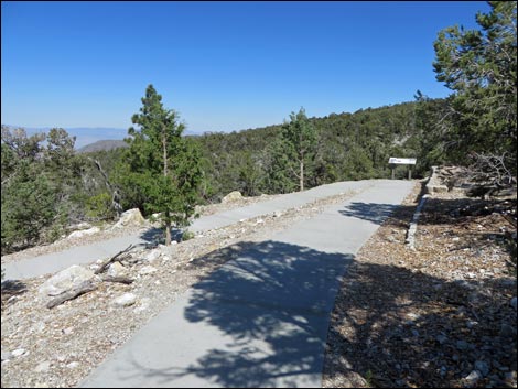 Desert View Overlook Trail