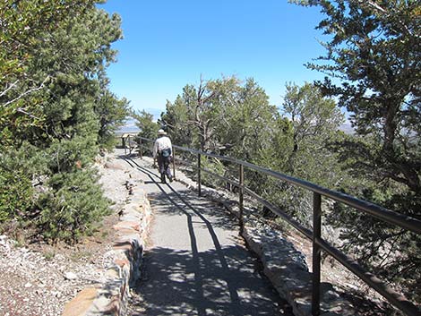 Desert View Overlook