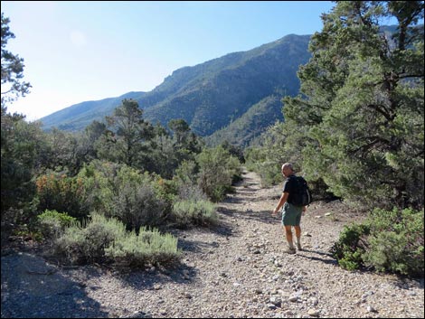 Eagle's Nest Loop Trail