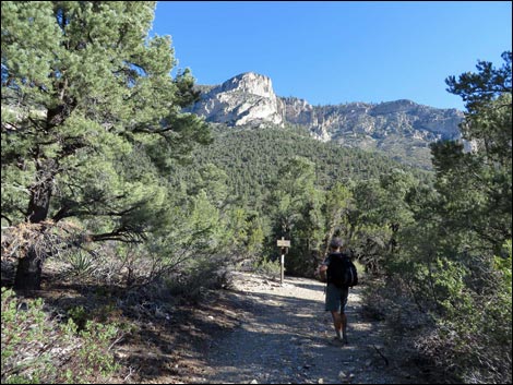 Eagle's Nest Loop Trail