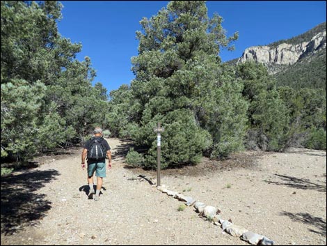 Eagle's Nest Loop Trail