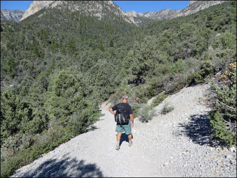 Eagle's Nest Loop Trail