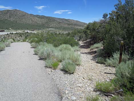 Escarpment Trail