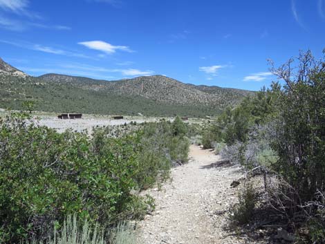 Escarpment Trail