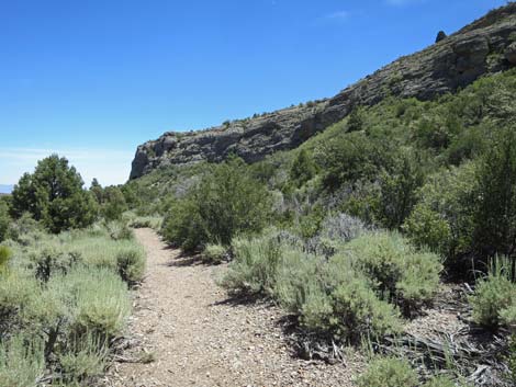 Escarpment Trail