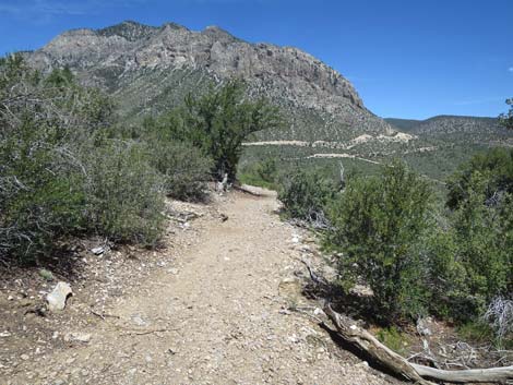 Escarpment Trail