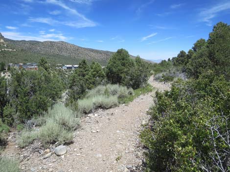 Escarpment Trail