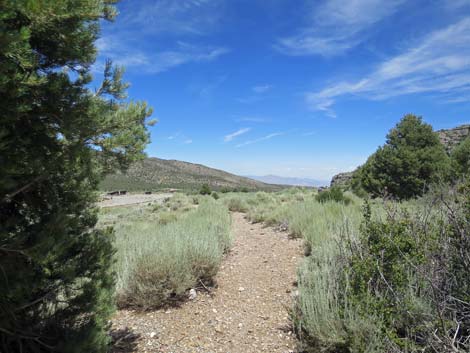 Escarpment Trail