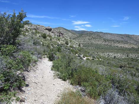 Escarpment Trail