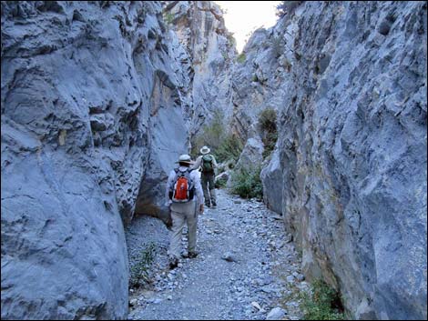 Fletcher Canyon Trail