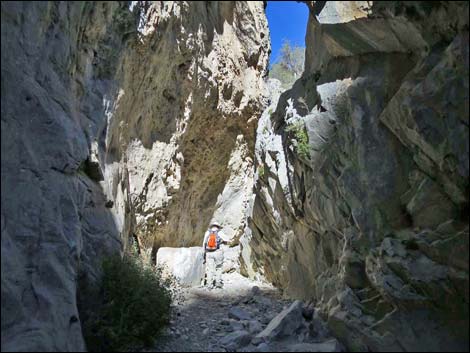 Fletcher Canyon Trail