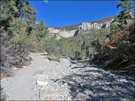 Fletcher Canyon Trail