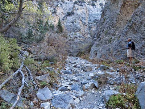 Fletcher Canyon Trail