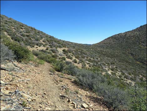 Griffith Shadow South Trail