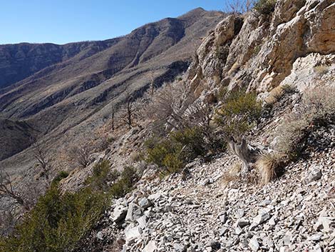 Harris Saddle Trail