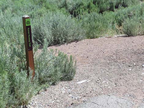 Escarpment Trail