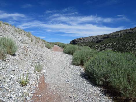 Escarpment Trail