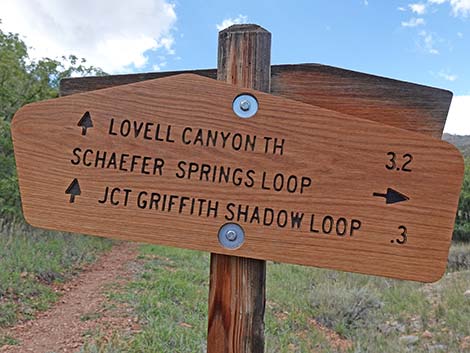 Lovell Canyon Trail