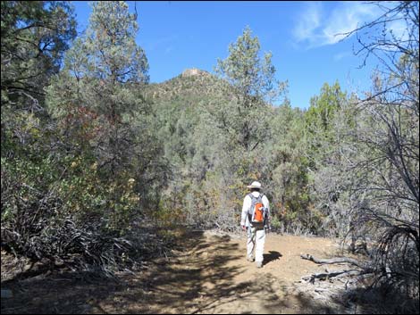 Lovell Canyon Trail