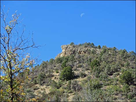 Lovell Canyon Trail