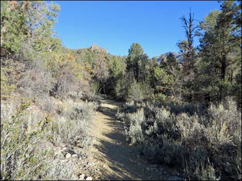 Lovell Canyon Trail