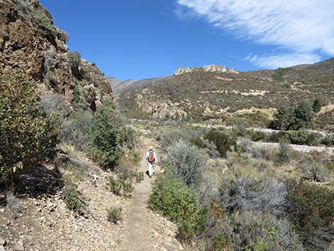 Lovell Canyon Trail