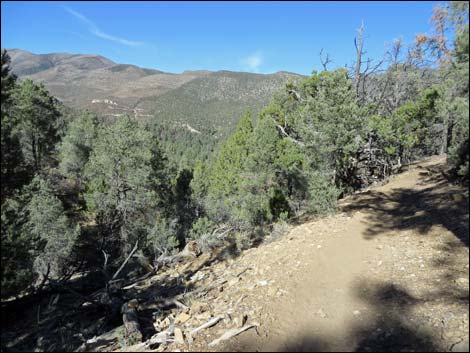 Lovell Canyon Trail