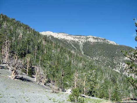 North Loop Trail Viewpoint